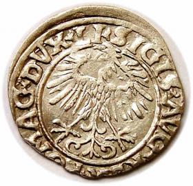 Picture 2 for: Half groschen 1556 Sigismund II Augustus Vilnius