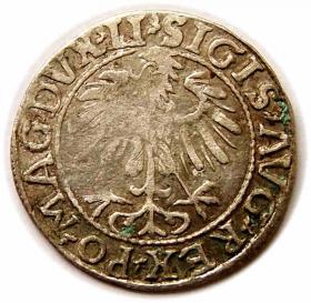 Picture 2 for: Half groschen 1557 Sigismund II Augustus Vilnius