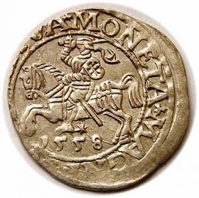 Picture for: Half groschen 1558 Sigismund II Augustus Vilnius