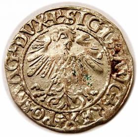 Picture 2 for: Half groschen 1559 Sigismund II Augustus Vilnius