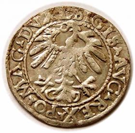 Picture 2 for: Półgrosz 1559 Zygmunt II August Wilno