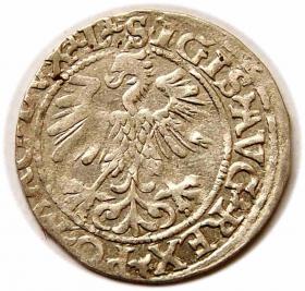 Picture 2 for: Half groschen 1560 Sigismund II Augustus Vilnius