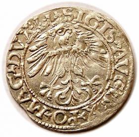Picture 2 for: Half groschen 1561 Sigismund II Augustus Vilnius