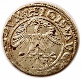 Picture 2 for: Half groschen 1561 Sigismund II Augustus Vilnius