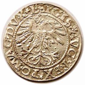 Picture 2 for: Half groschen 1561 Sigismund II Augustus Vilnius