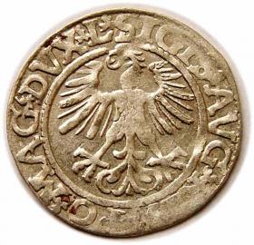 Picture 2 for: Half groschen 1561 Sigismund II Augustus Vilnius