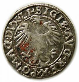 Picture 2 for: Half groschen 1556 Sigismund II Augustus Vilnius