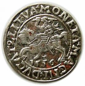 Picture for: Half groschen 1556 Sigismund II Augustus Vilnius