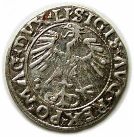 Picture 2 for: Half groschen 1556 Sigismund II Augustus Vilnius