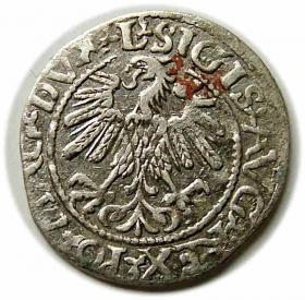 Picture 2 for: Half groschen 1560 Sigismund II Augustus Vilnius