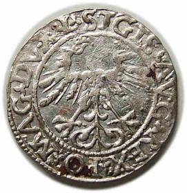 Picture 2 for: Half groschen 1562 Sigismund II Augustus Vilnius