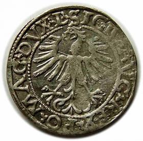 Picture 2 for: Half groschen 1562 Sigismund II Augustus Vilnius
