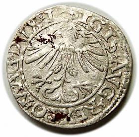 Picture 2 for: Half groschen 1562 Sigismund II Augustus Vilnius