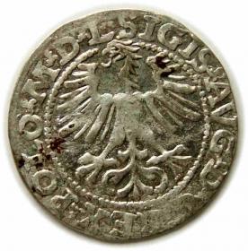 Picture 2 for: Half groschen 1564 Sigismund II Augustus Vilnius