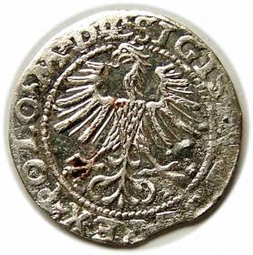 Picture 2 for: Half groschen 1564 Sigismund II Augustus Vilnius