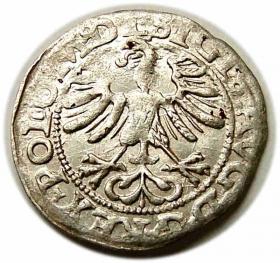 Picture 2 for: Half groschen 1565 Sigismund II Augustus Vilnius