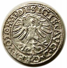 Picture 2 for: Half groschen 1565 Sigismund II Augustus Vilnius