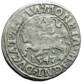 Picture for: Half groschen 1547 Sigismund II Augustus Vilnius