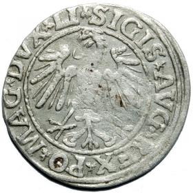 Picture 2 for: Half groschen 1547 Sigismund II Augustus Vilnius