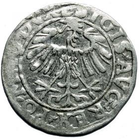 Picture 2 for: Half groschen 1557 Sigismund II Augustus Vilnius