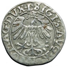 Picture 2 for: Half groschen 1557 Sigismund II Augustus Vilnius