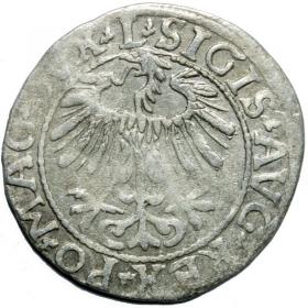 Picture 2 for: Half groschen 1557 Sigismund II Augustus Vilnius