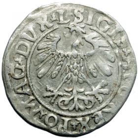 Picture 2 for: Half groschen 1558 Sigismund II Augustus Vilnius