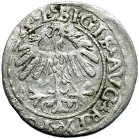 Picture 2 for: Half groschen 1559 Sigismund II Augustus Vilnius