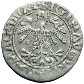 Picture 2 for: Half groschen 1559 Sigismund II Augustus Vilnius