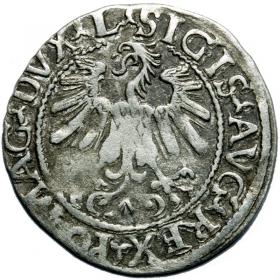 Picture 2 for: Half groschen 1559 Sigismund II Augustus Vilnius