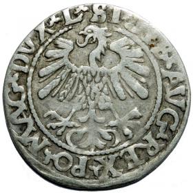 Picture 2 for: Half groschen 1559 Sigismund II Augustus Vilnius