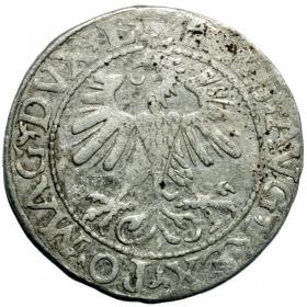 Picture 2 for: Half groschen 1560 Sigismund II Augustus Vilnius