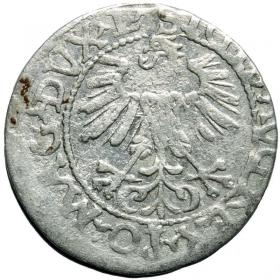 Picture 2 for: Half groschen 1560 Sigismund II Augustus Vilnius