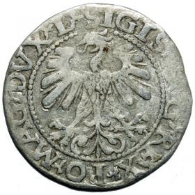 Picture 2 for: Half groschen 1560 Sigismund II Augustus Vilnius