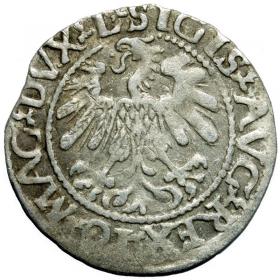 Picture 2 for: Half groschen 1560 Sigismund II Augustus Vilnius