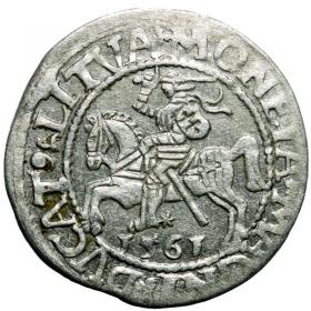 Picture for: Half groschen 1561 Sigismund II Augustus Vilnius