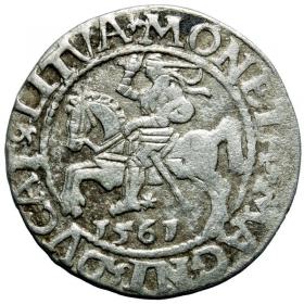 Picture for: Half groschen 1561 Sigismund II Augustus Vilnius