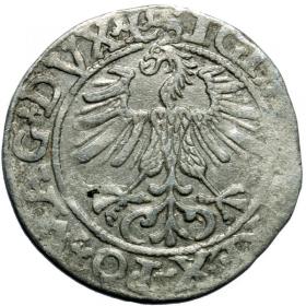 Picture 2 for: Half groschen 1561 Sigismund II Augustus Vilnius
