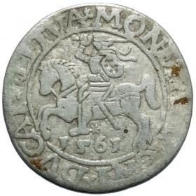 Picture for: Half groschen 1561 Sigismund II Augustus Vilnius