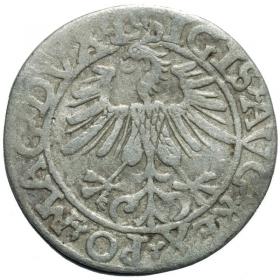 Picture 2 for: Half groschen 1561 Sigismund II Augustus Vilnius