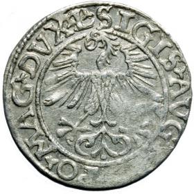 Picture 2 for: Half groschen 1561 Sigismund II Augustus Vilnius