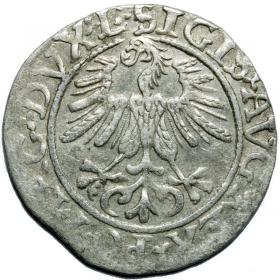 Picture 2 for: Half groschen 1561 Sigismund II Augustus Vilnius