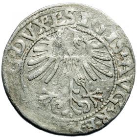 Picture 2 for: Half groschen 1562 Sigismund II Augustus Vilnius