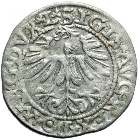 Picture 2 for: Half groschen 1562 Sigismund II Augustus Vilnius