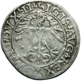 Picture 2 for: Half groschen 1562 Sigismund II Augustus Vilnius
