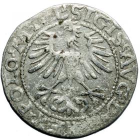 Picture 2 for: Half groschen 1564 Sigismund II Augustus Vilnius