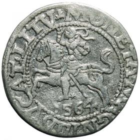 Picture for: Half groschen 1564 Sigismund II Augustus Vilnius