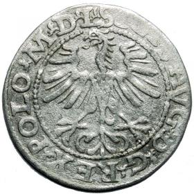 Picture 2 for: Half groschen 1564 Sigismund II Augustus Vilnius