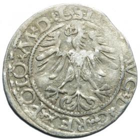 Picture 2 for: Half groschen 1565 Sigismund II Augustus Vilnius
