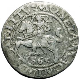 Picture for: Half groschen 1565 Sigismund II Augustus Vilnius